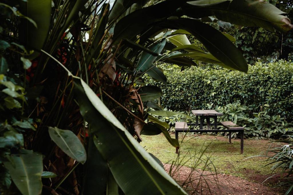 Bed and Breakfast 30 Wilson Jinja Esterno foto